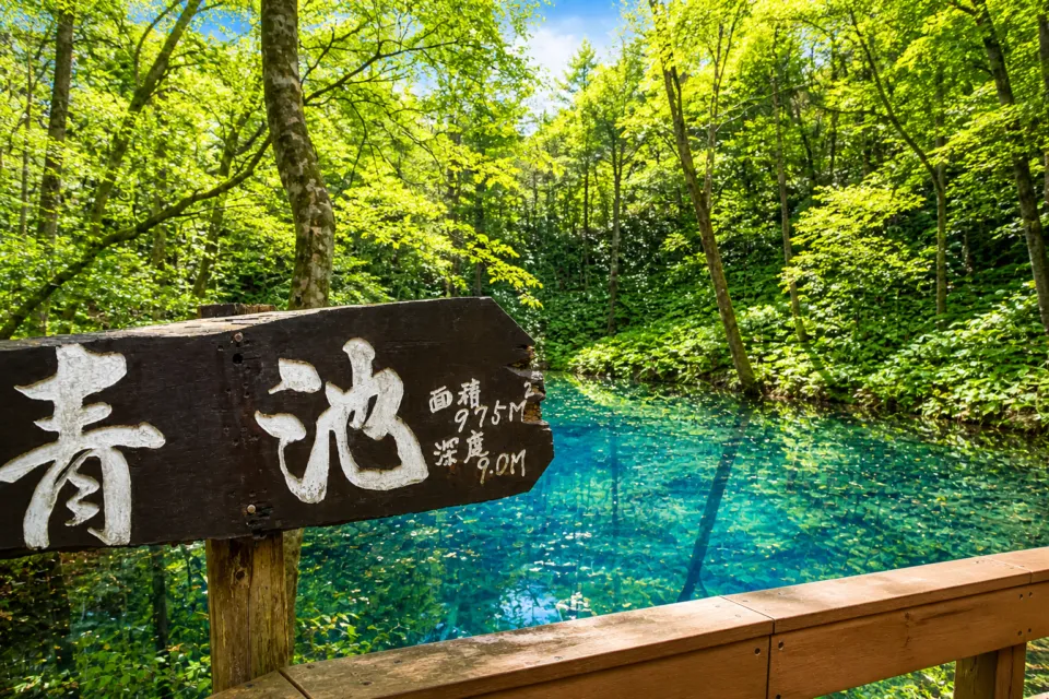 青池(青森県)