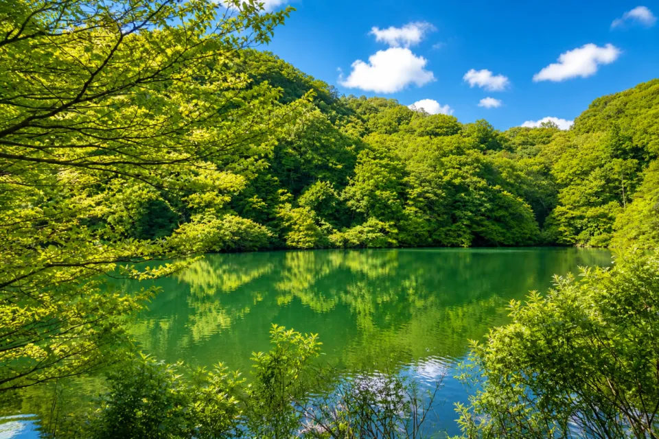 青池(青森県)