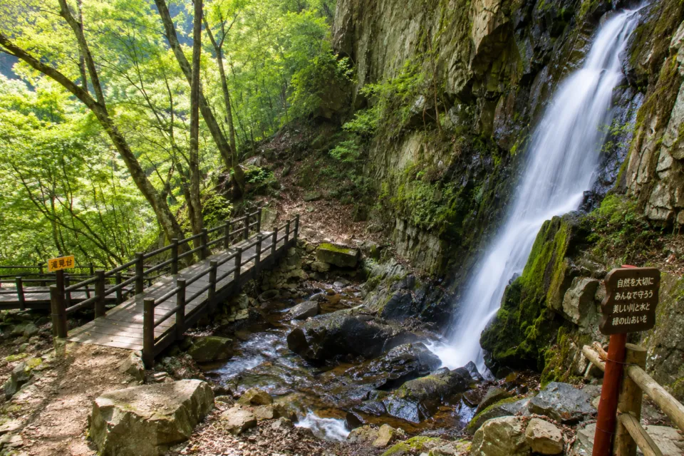 綾の照葉大吊橋
