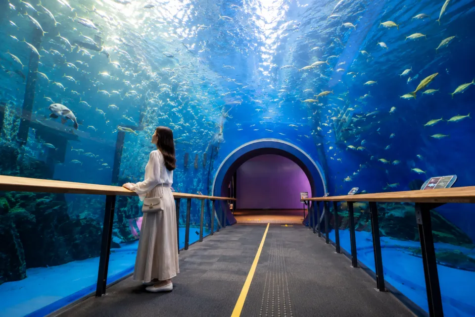 滋賀県立琵琶湖博物館