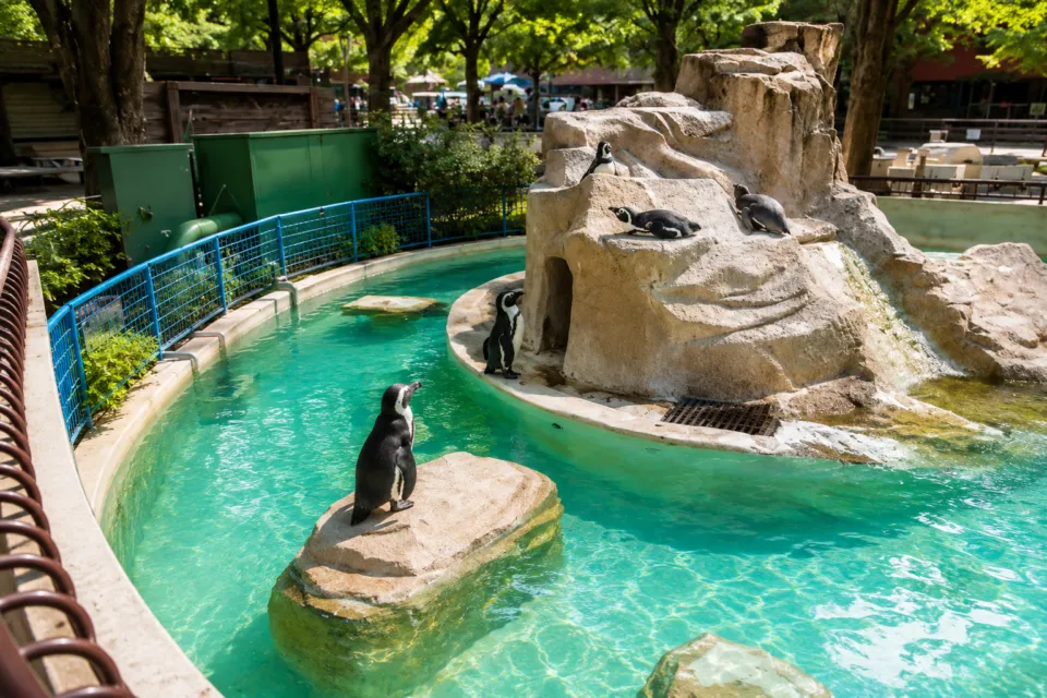 千葉市動物公園