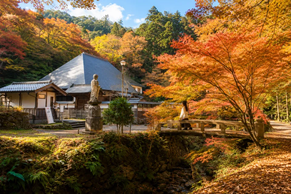 鰐淵寺