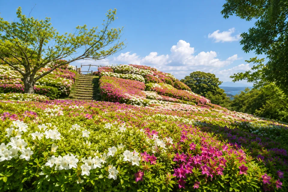 平草原公園