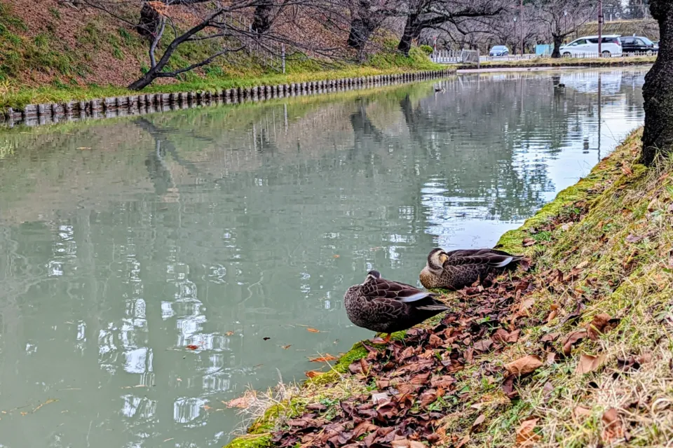 弘前公園