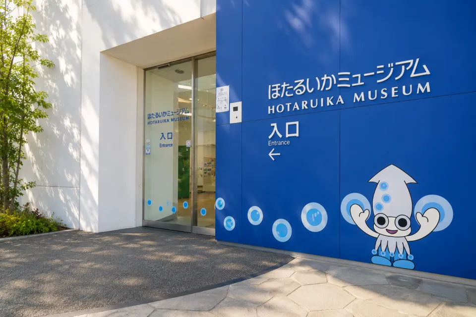 ほたるいかミュージアム