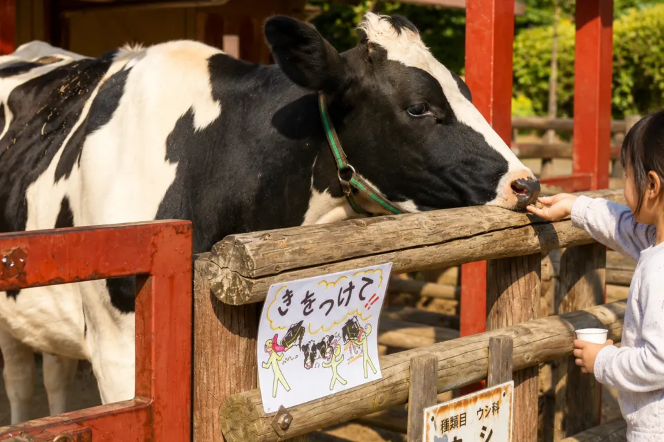 市川市動植物園