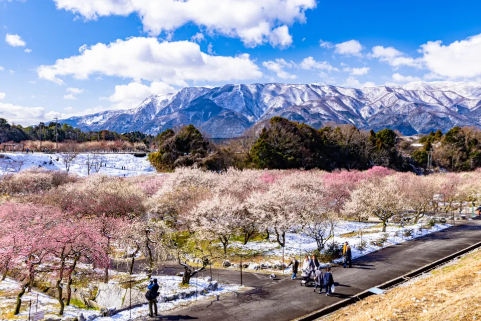 いなべ市農業公園