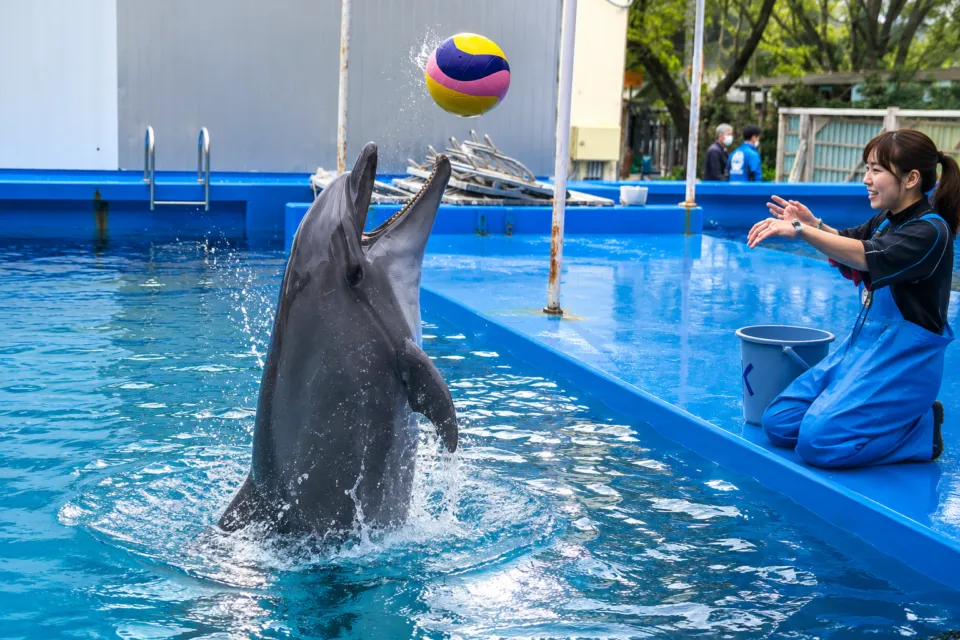 伊勢シーパラダイス