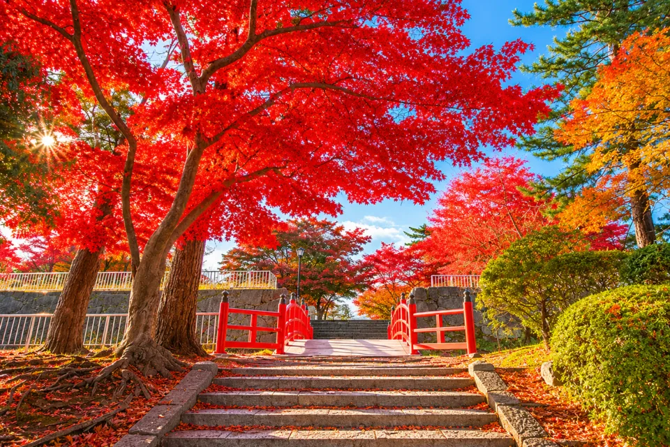 岩手公園(盛岡城跡公園)