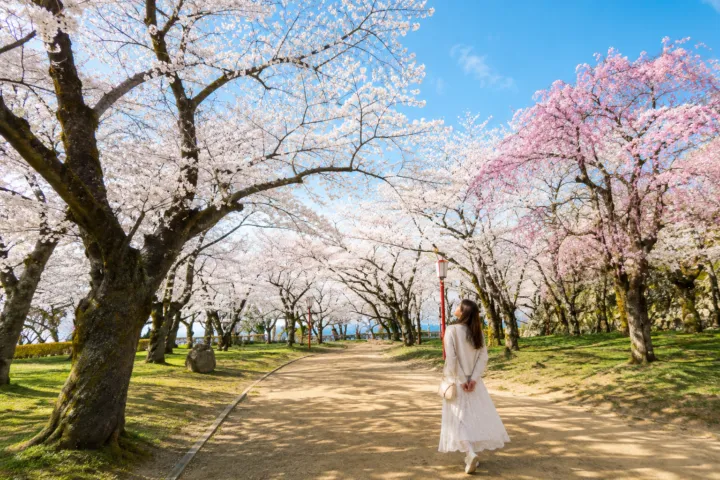 岩手公園（盛岡城跡公園）