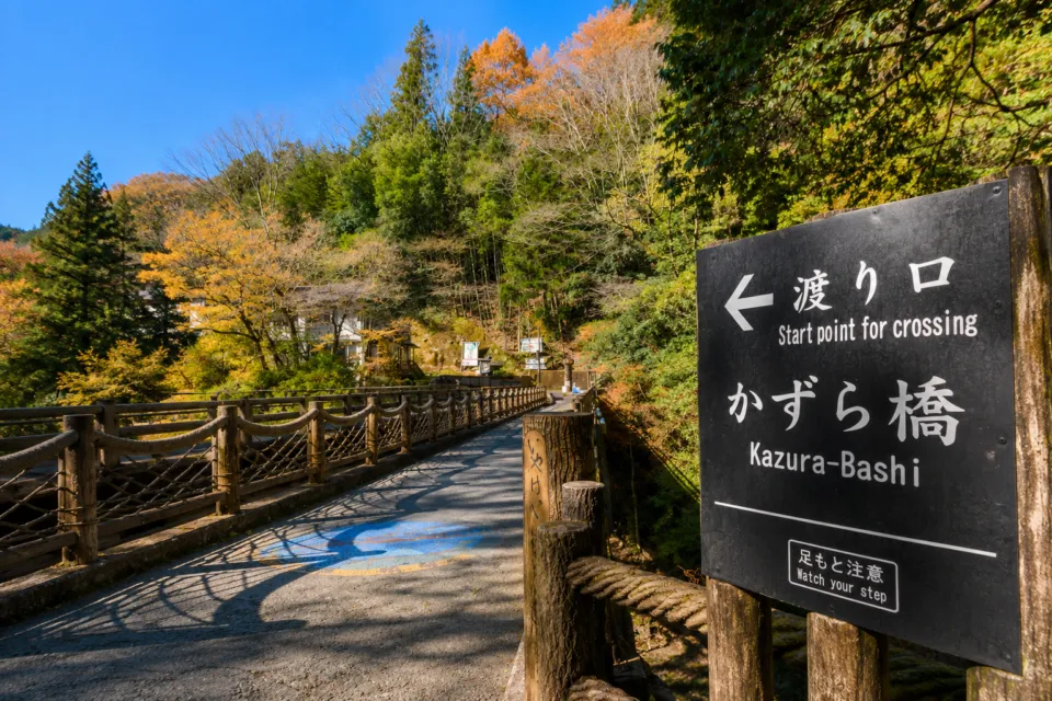 祖谷のかずら橋