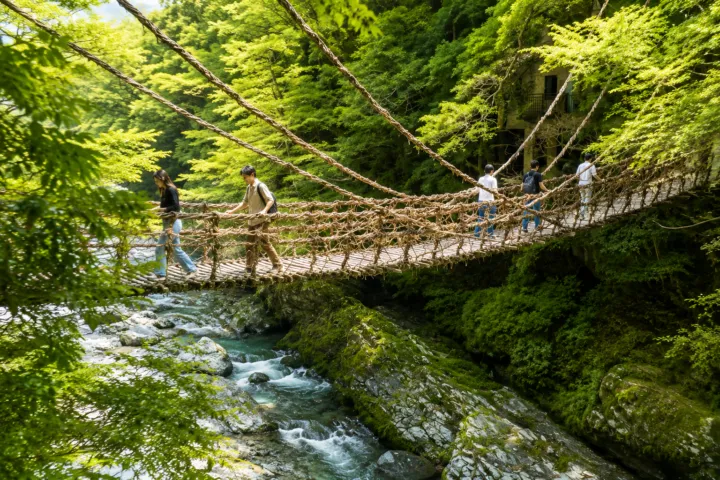 祖谷のかずら橋