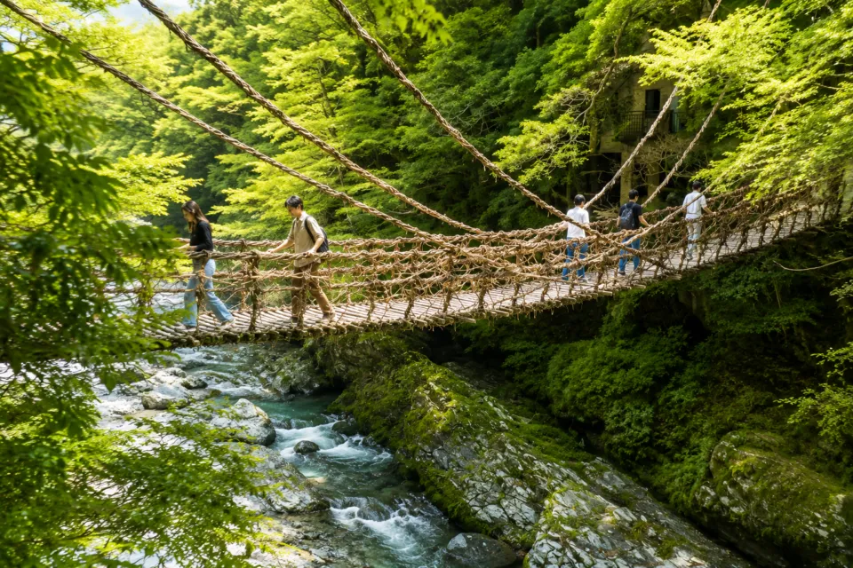 祖谷のかずら橋