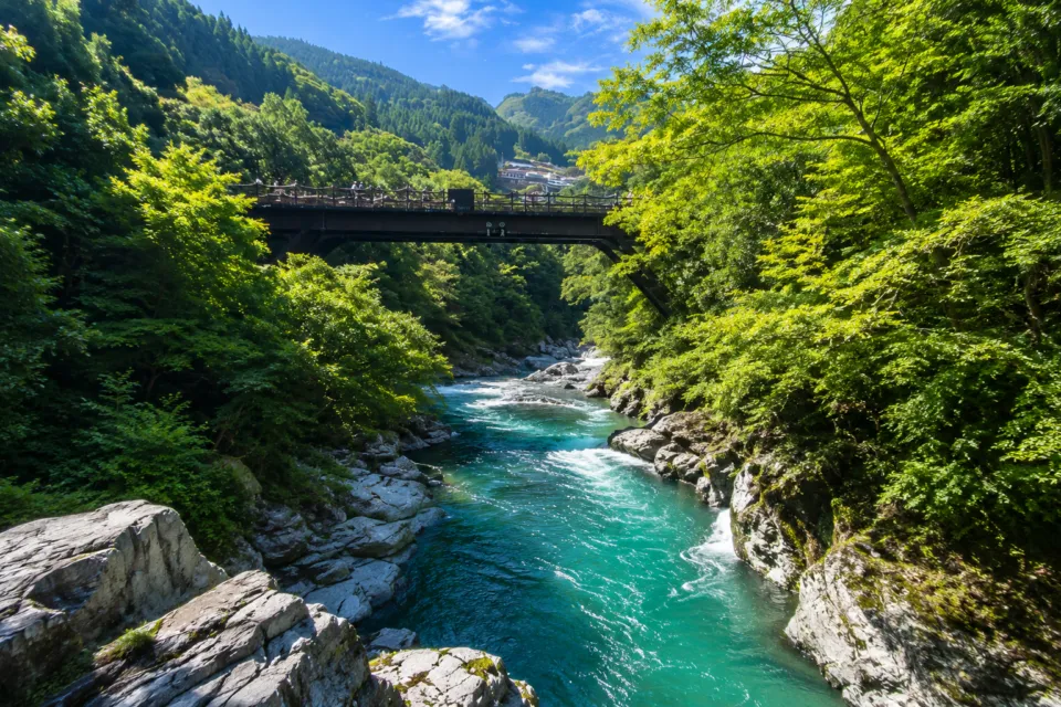 祖谷のかずら橋