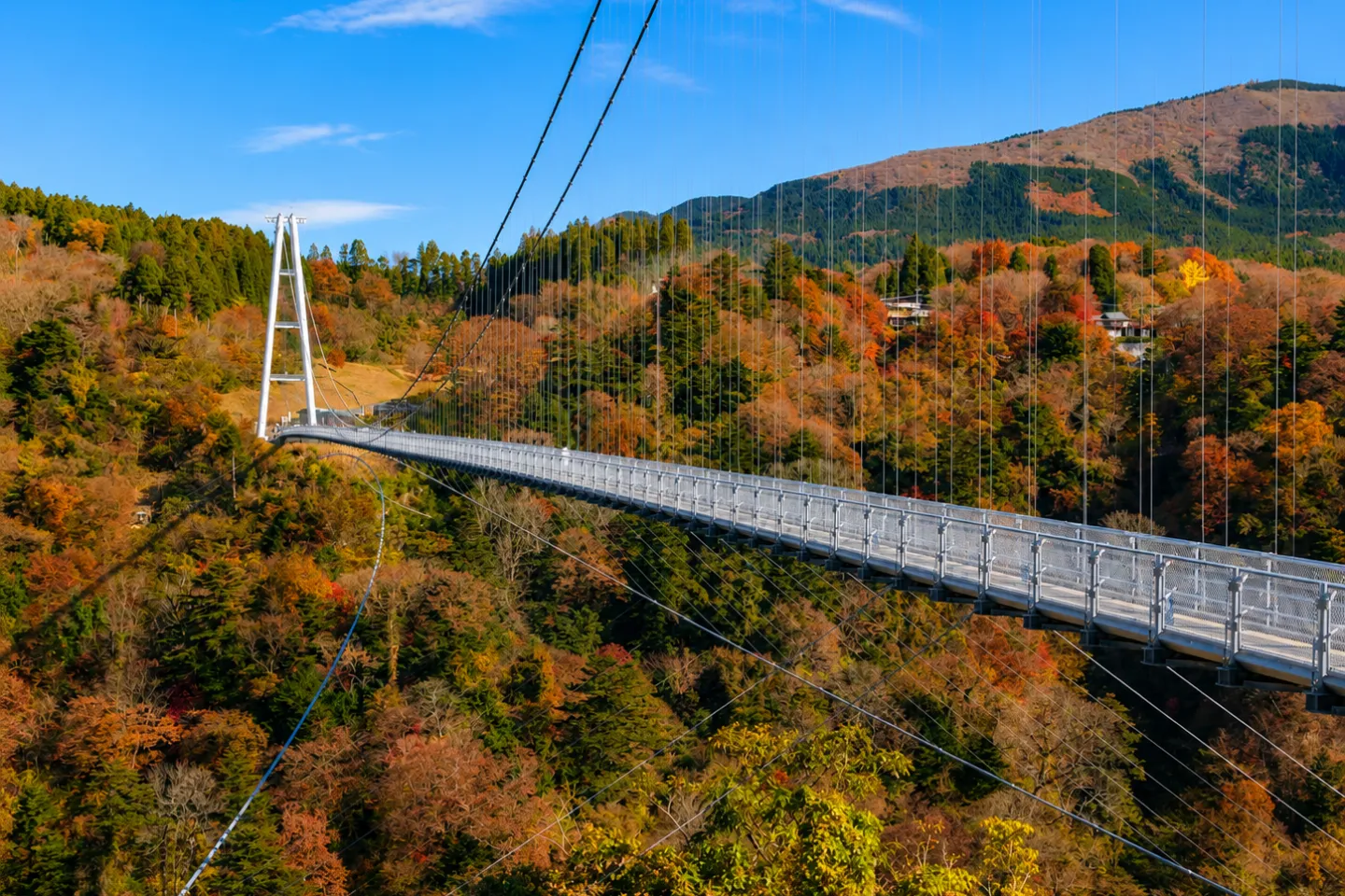 九重“夢”大吊橋
