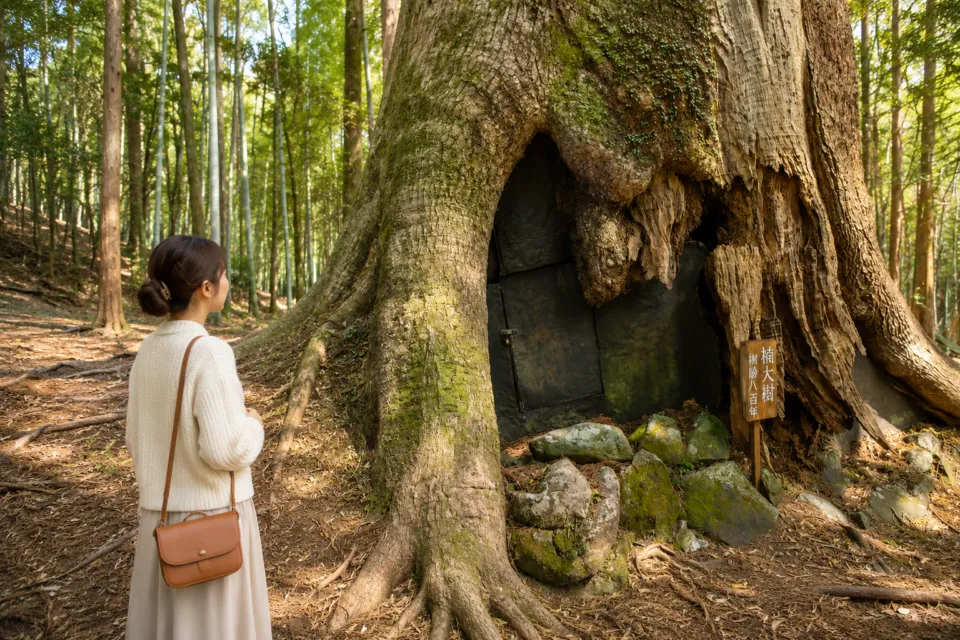 熊野古道 大門坂