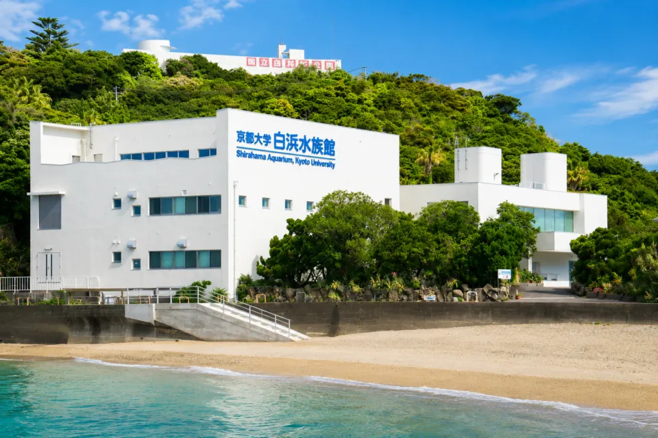 京都大学白浜水族館