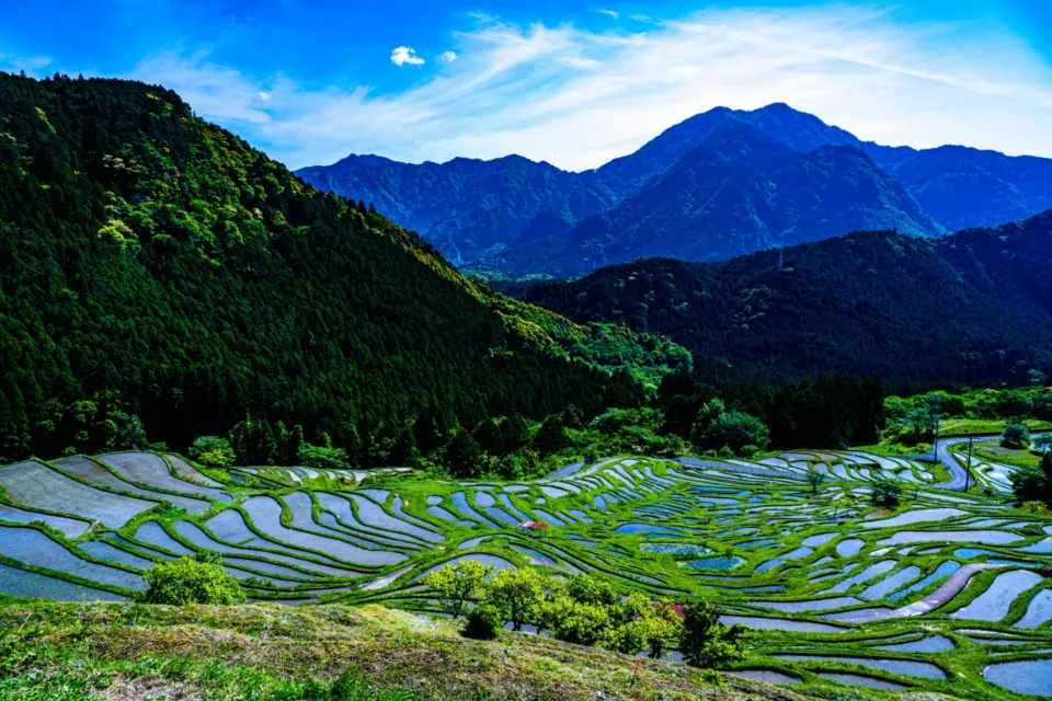 丸山千枚田