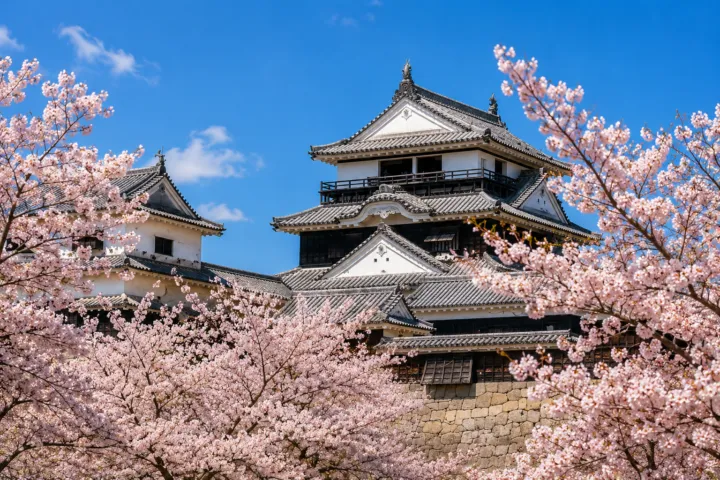 松山城