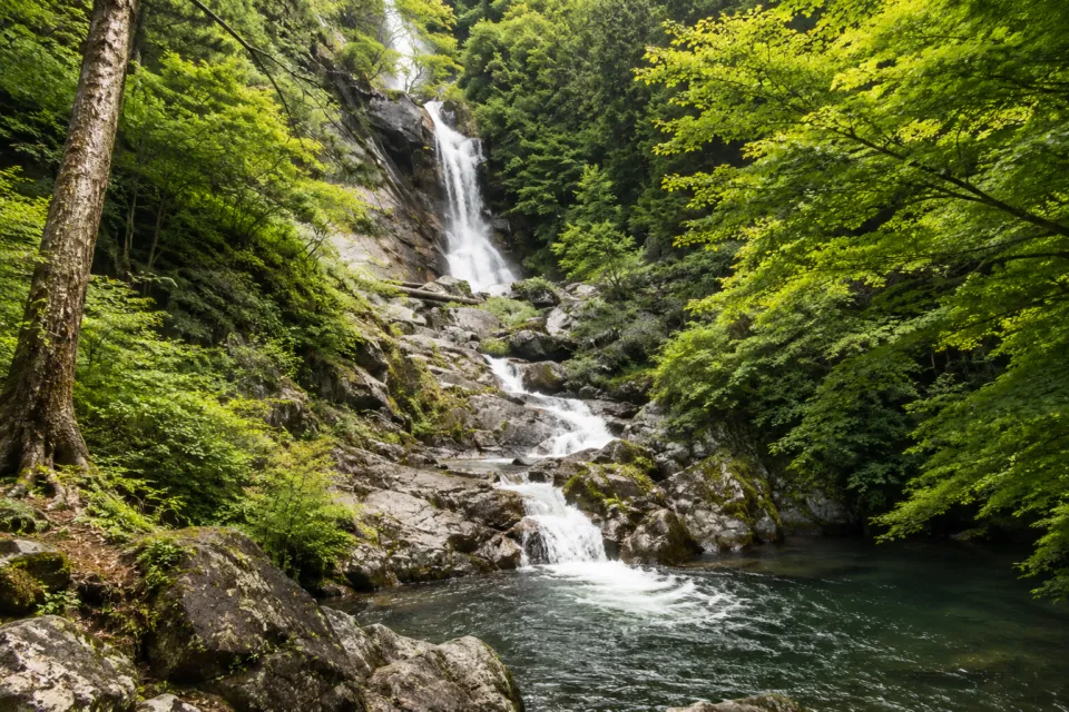 見帰りの滝