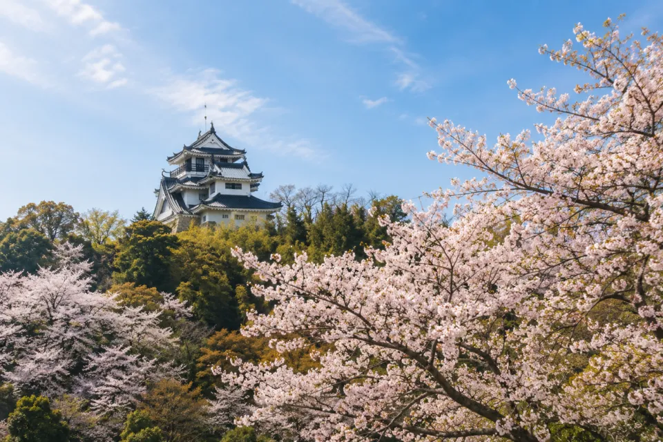 妙見山公園