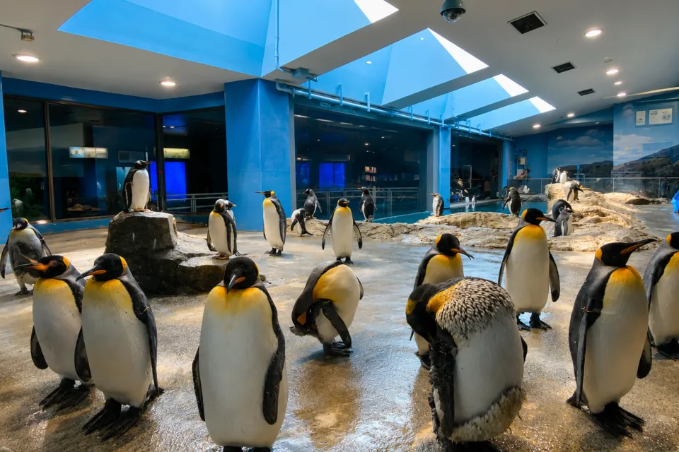 長崎ペンギン水族館