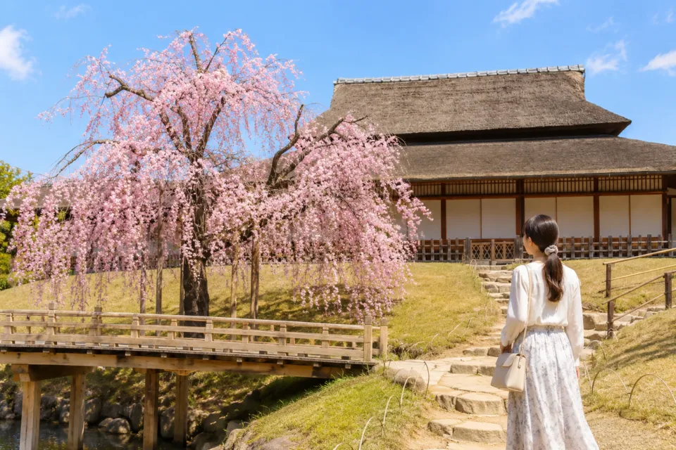 岡山後楽園