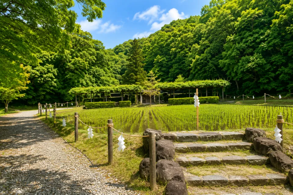 猿田彦神社