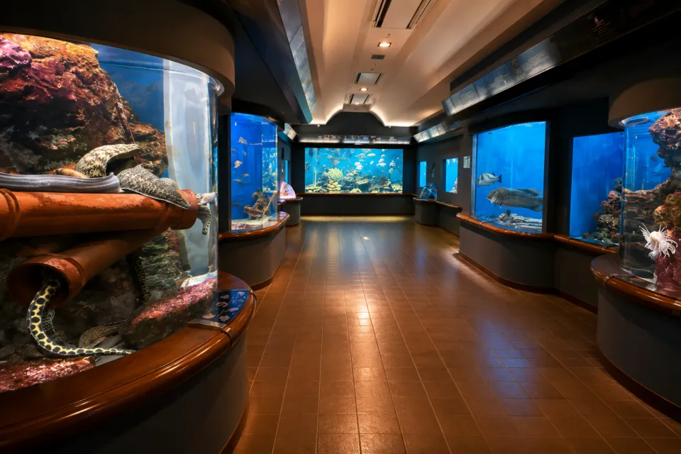 渋川マリン水族館（玉野海洋博物館）