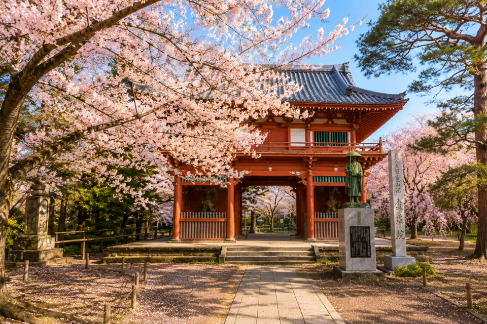 清水公園