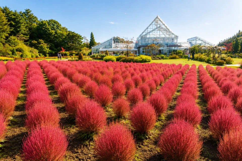 清水公園