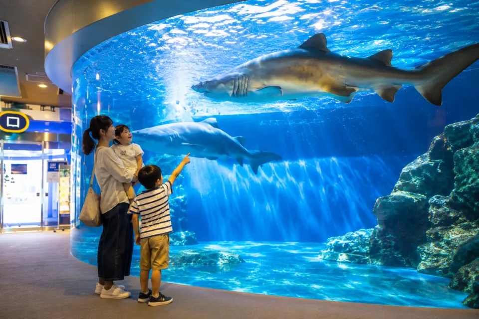 しながわ水族館