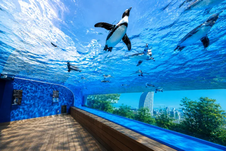 サンシャイン水族館
