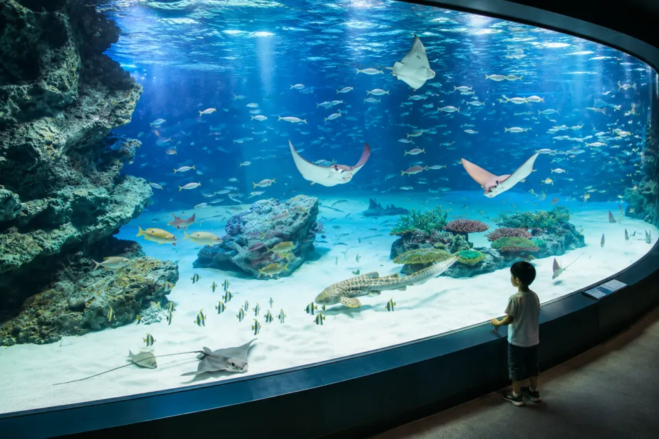 サンシャイン水族館