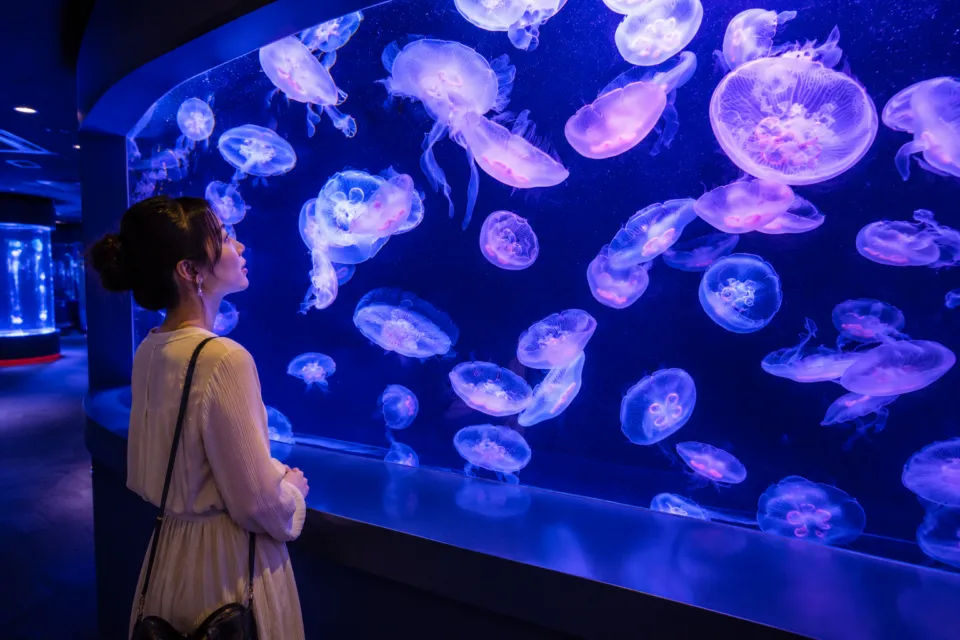 サンシャイン水族館
