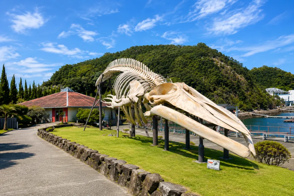太地町立くじらの博物館