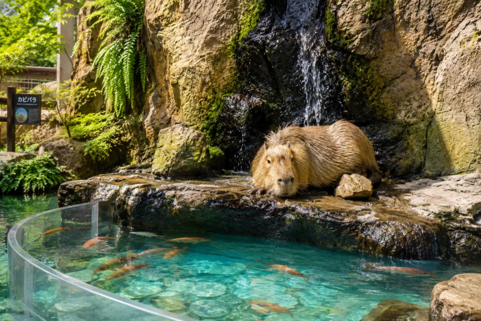 鳥羽水族館