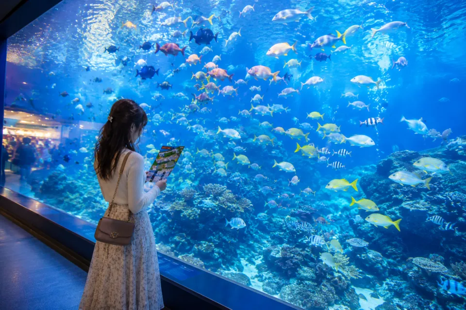 鳥羽水族館