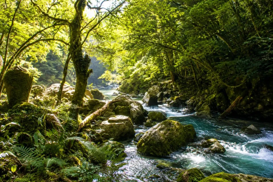 轟の滝(徳島県)