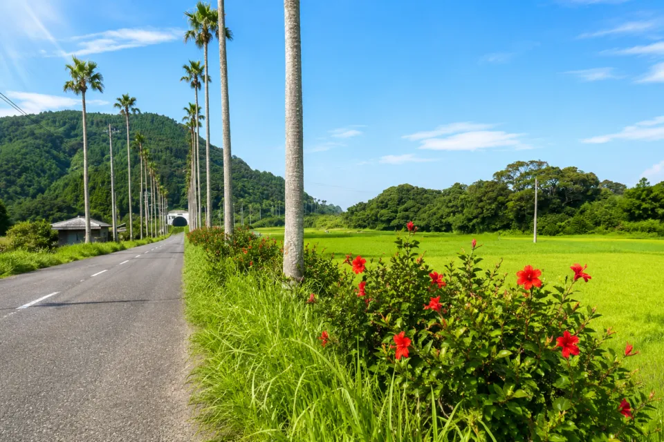 都井岬