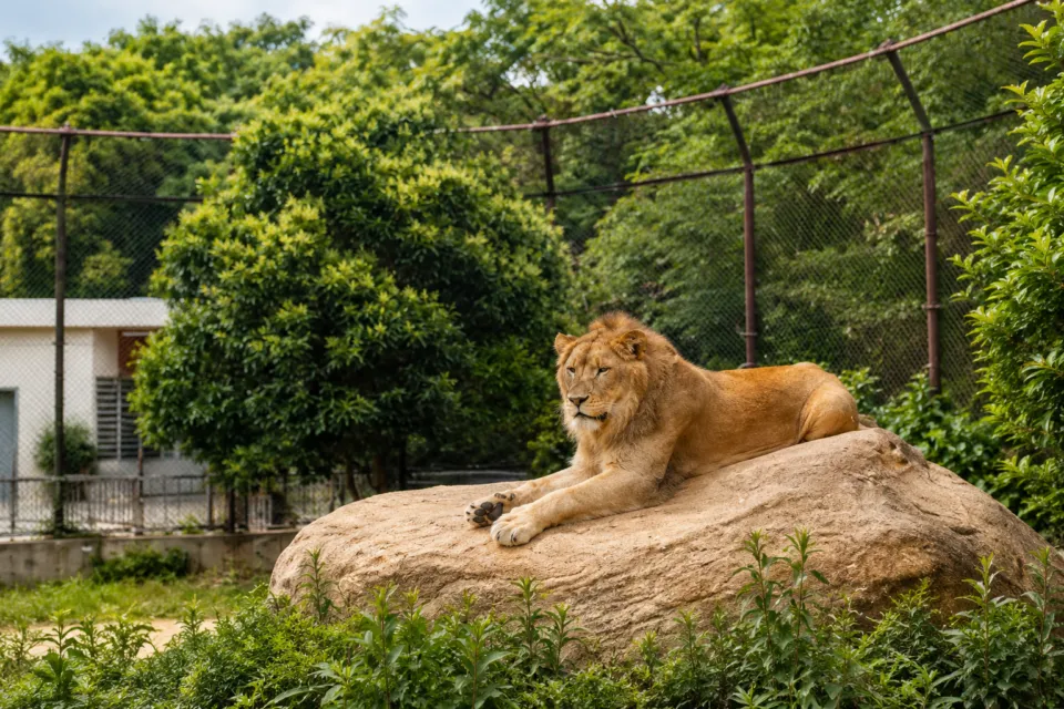 徳島市総合動植物公園