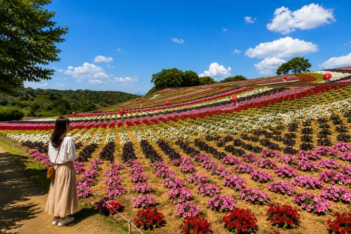 東京ドイツ村