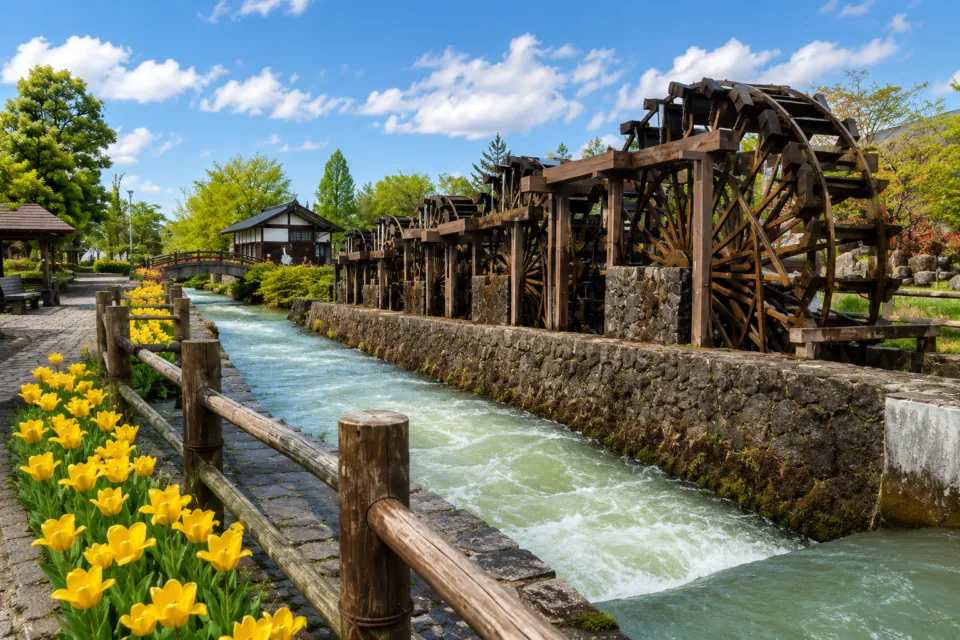 砺波チューリップ公園
