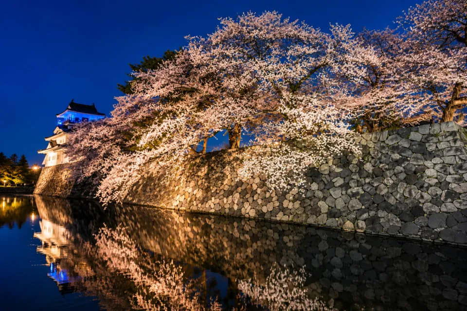 富山城址公園