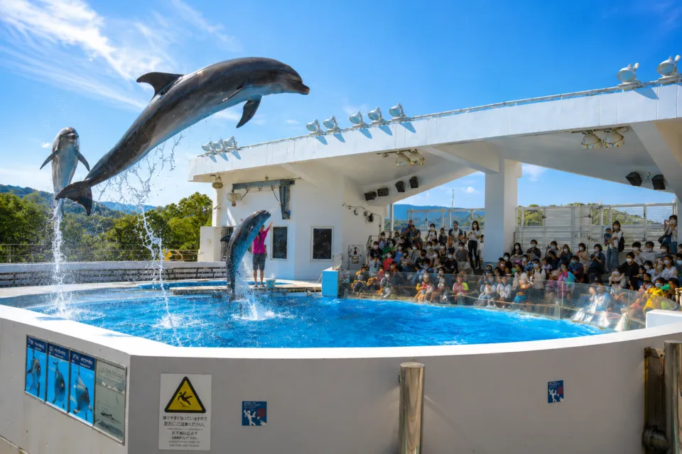 九十九島水族館海きらら
