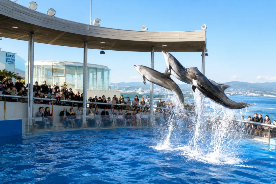 大分マリーンパレス水族館「うみたまご」