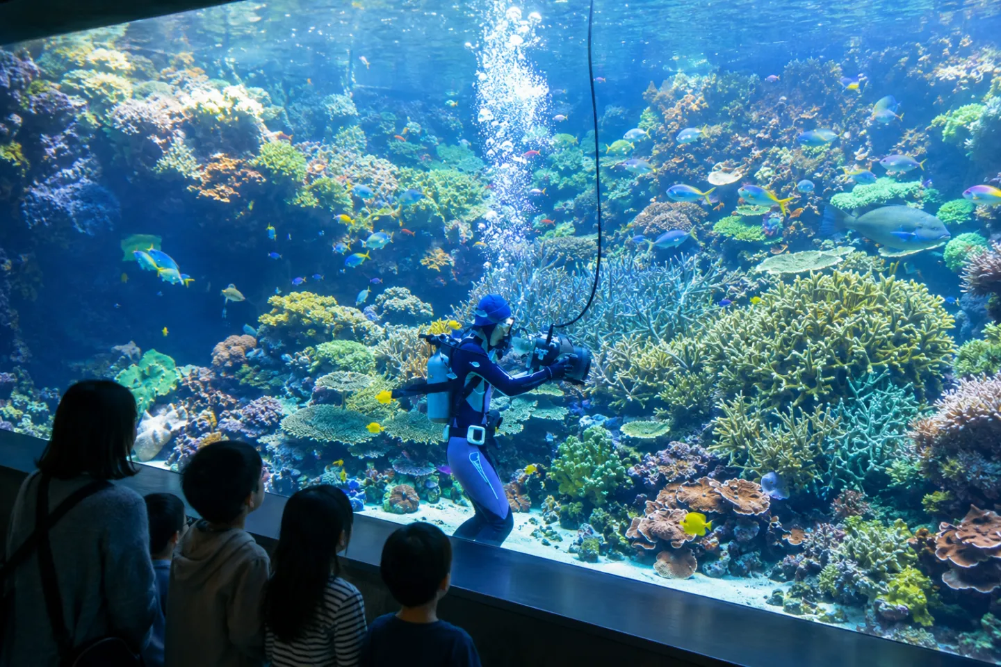 大分マリーンパレス水族館「うみたまご」