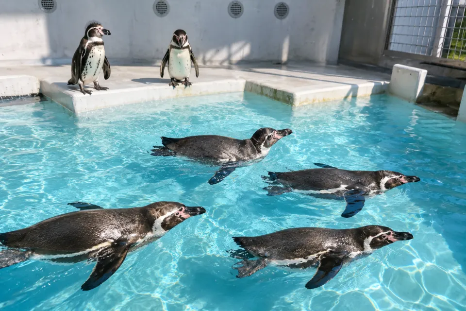 和歌山城公園動物園