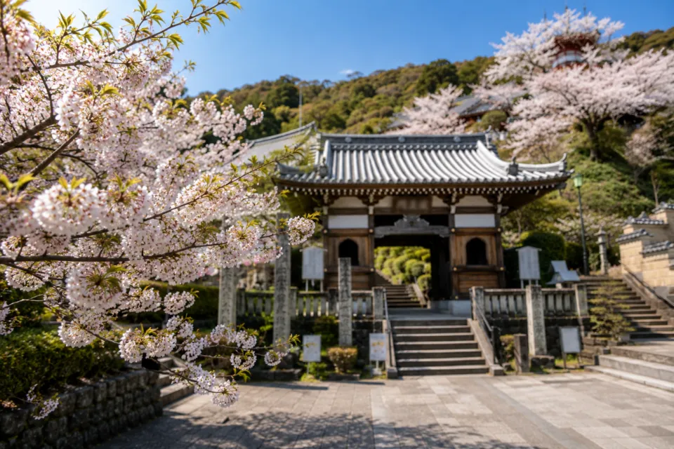 四国霊場第二十三番札所 薬王寺