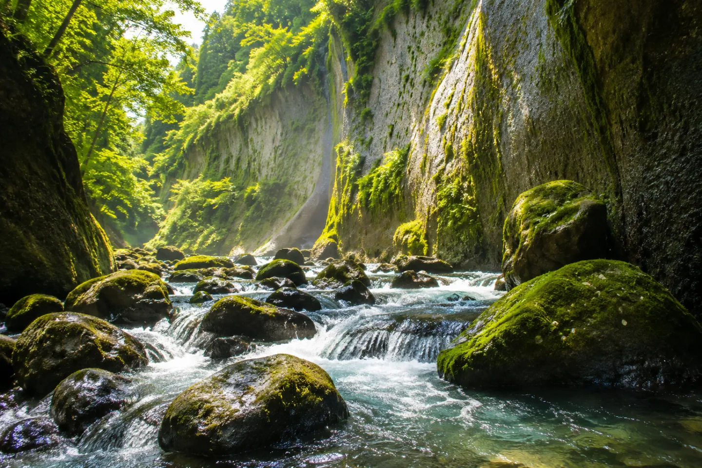 由布川峡谷